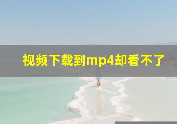 视频下载到mp4却看不了