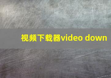 视频下载器video down