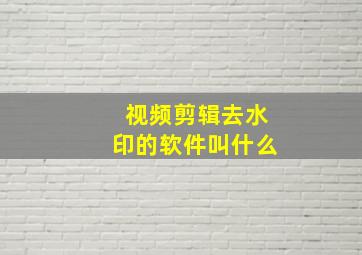 视频剪辑去水印的软件叫什么