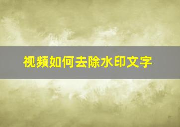 视频如何去除水印文字