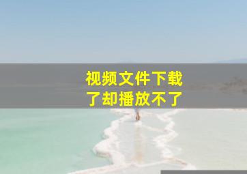 视频文件下载了却播放不了