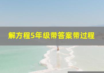 解方程5年级带答案带过程