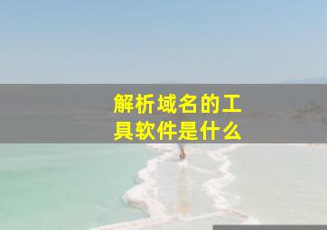 解析域名的工具软件是什么