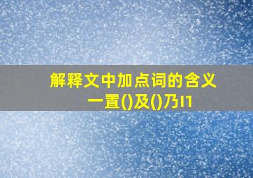 解释文中加点词的含义一置()及()乃I1