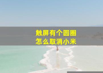 触屏有个圆圈怎么取消小米