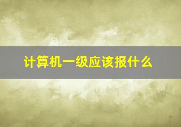 计算机一级应该报什么