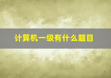 计算机一级有什么题目