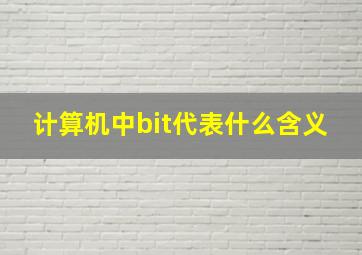 计算机中bit代表什么含义