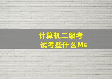 计算机二级考试考些什么Ms