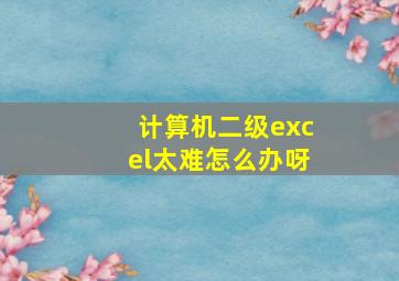 计算机二级excel太难怎么办呀