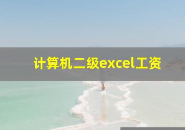 计算机二级excel工资