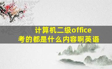 计算机二级office考的都是什么内容啊英语