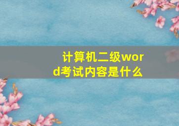 计算机二级word考试内容是什么