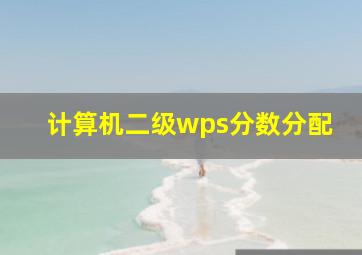 计算机二级wps分数分配