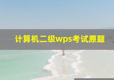 计算机二级wps考试原题