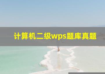 计算机二级wps题库真题