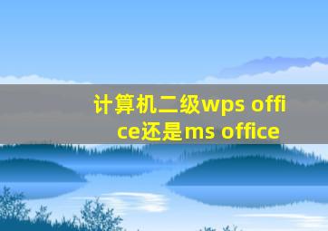 计算机二级wps office还是ms office