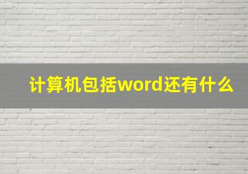 计算机包括word还有什么