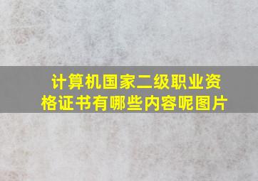 计算机国家二级职业资格证书有哪些内容呢图片