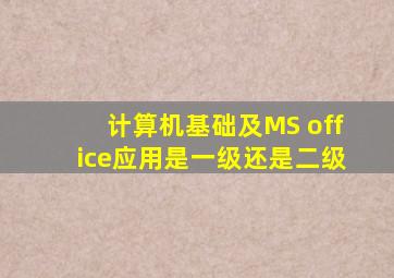 计算机基础及MS office应用是一级还是二级