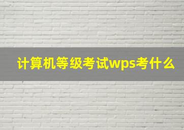 计算机等级考试wps考什么