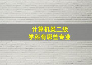 计算机类二级学科有哪些专业