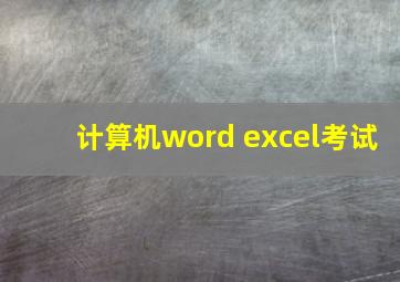 计算机word excel考试