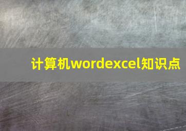 计算机wordexcel知识点