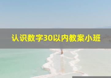 认识数字30以内教案小班