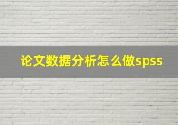 论文数据分析怎么做spss