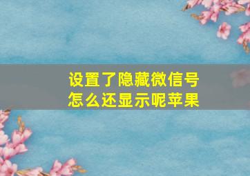 设置了隐藏微信号怎么还显示呢苹果