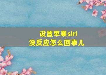 设置苹果siri没反应怎么回事儿