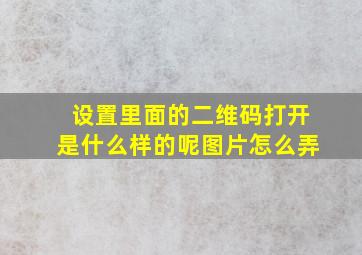 设置里面的二维码打开是什么样的呢图片怎么弄