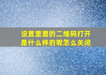 设置里面的二维码打开是什么样的呢怎么关闭