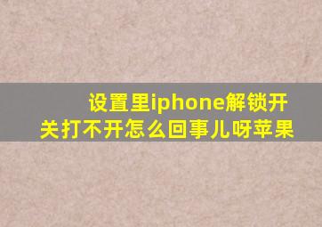 设置里iphone解锁开关打不开怎么回事儿呀苹果