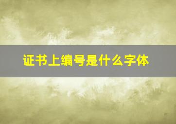 证书上编号是什么字体