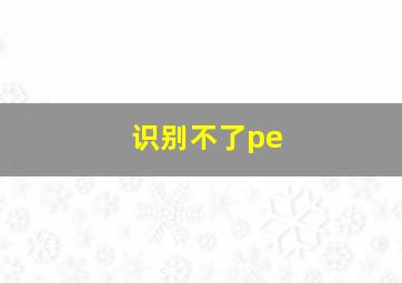 识别不了pe