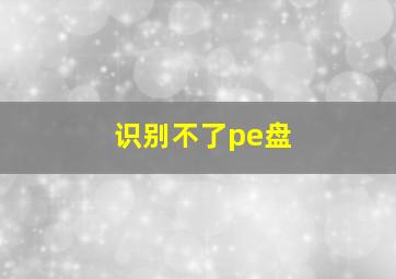 识别不了pe盘