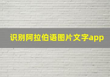 识别阿拉伯语图片文字app