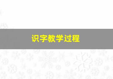 识字教学过程