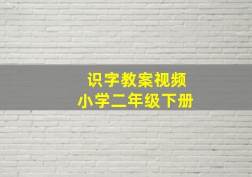 识字教案视频小学二年级下册