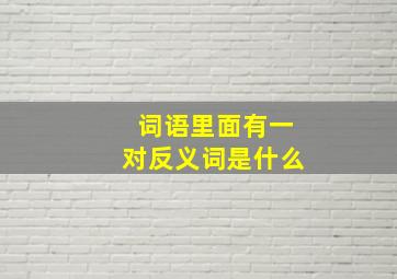 词语里面有一对反义词是什么