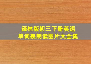 译林版初三下册英语单词表朗读图片大全集