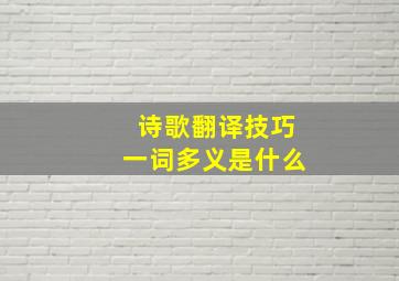 诗歌翻译技巧一词多义是什么