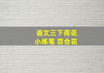 语文三下荷花小练笔 百合花