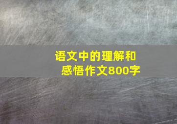 语文中的理解和感悟作文800字