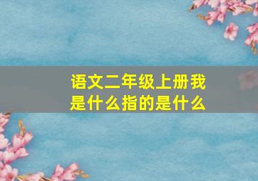 语文二年级上册我是什么指的是什么