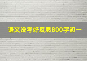 语文没考好反思800字初一