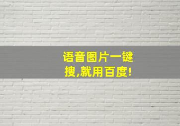 语音图片一键搜,就用百度!