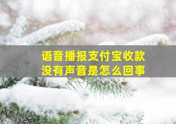 语音播报支付宝收款没有声音是怎么回事